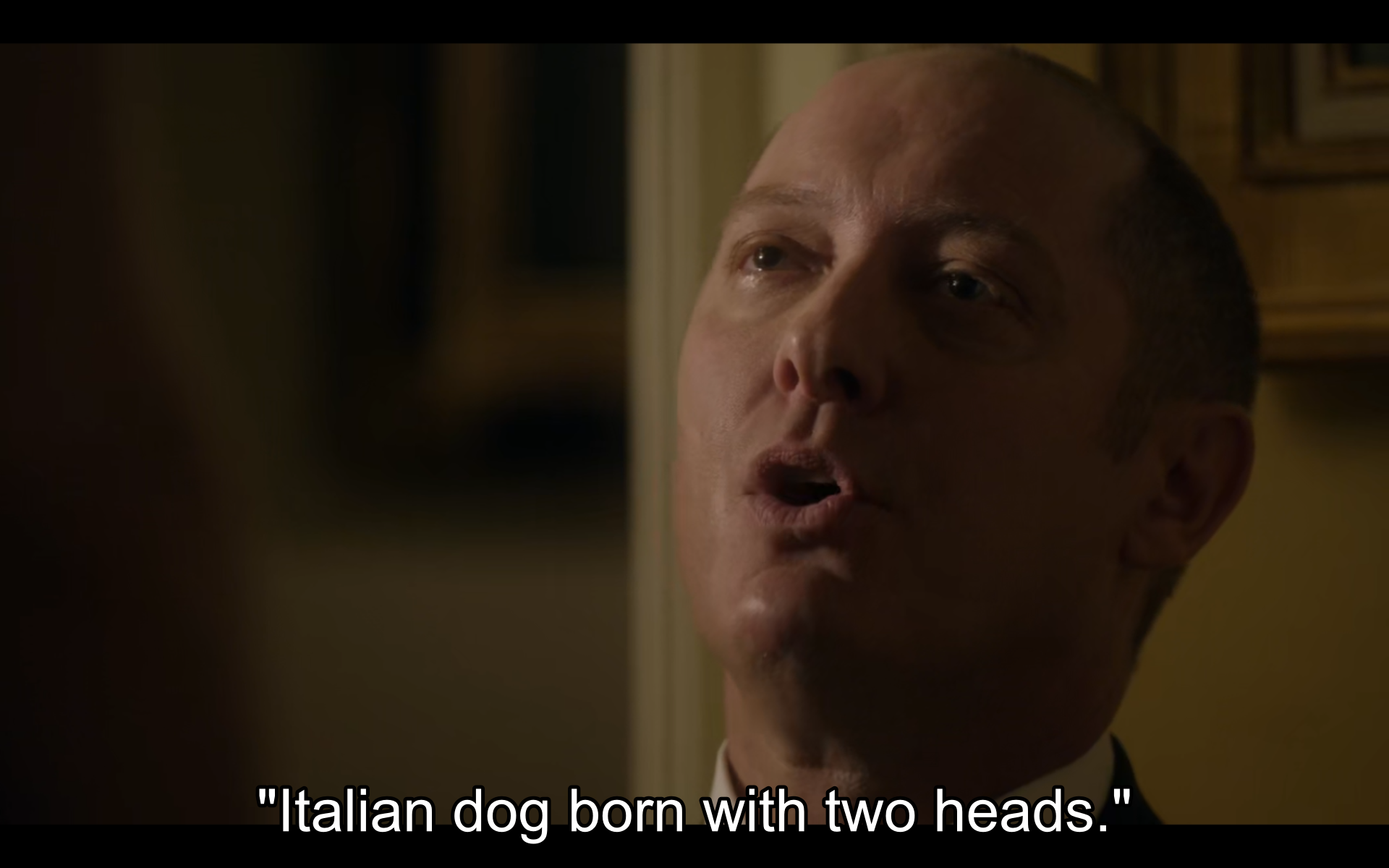 Italian dog born with two heads.